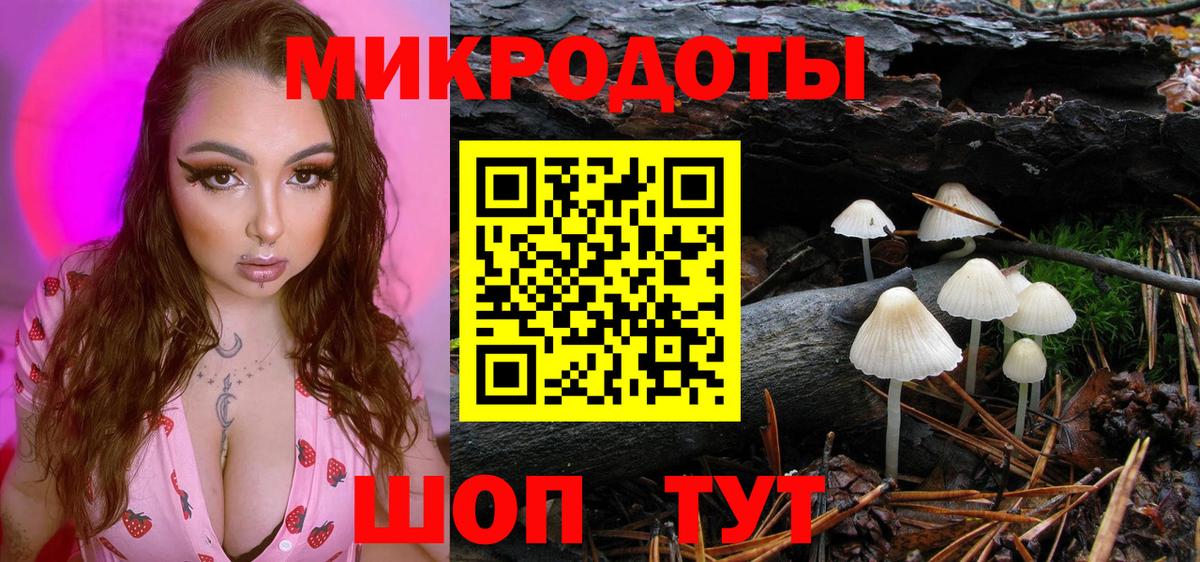 Унеча  Псилоцибиновые грибы Cubensis  Галлюциногенные грибы MAGIC MUSHROOMS  Вход с VPN 